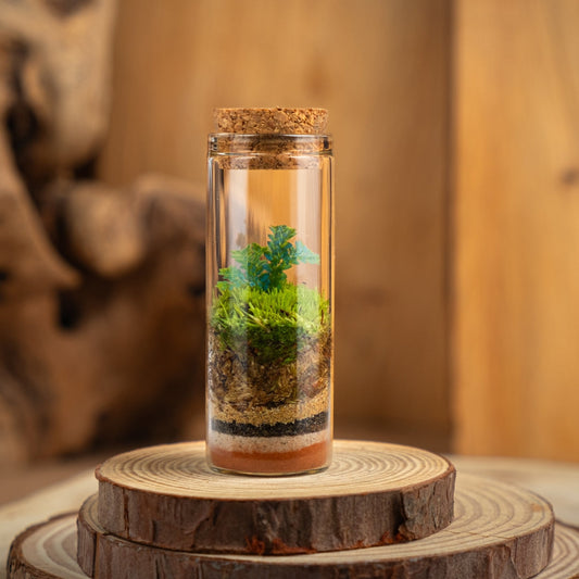 jardín en miniatura