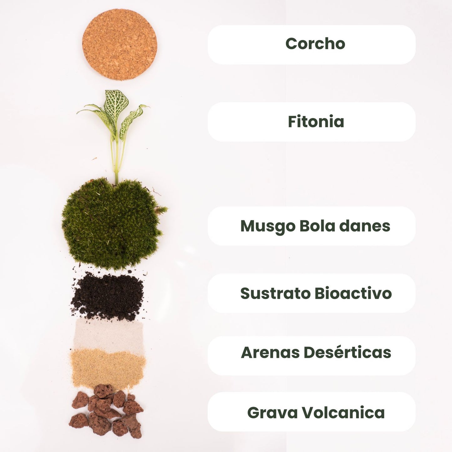 creación de terrarios personalizados