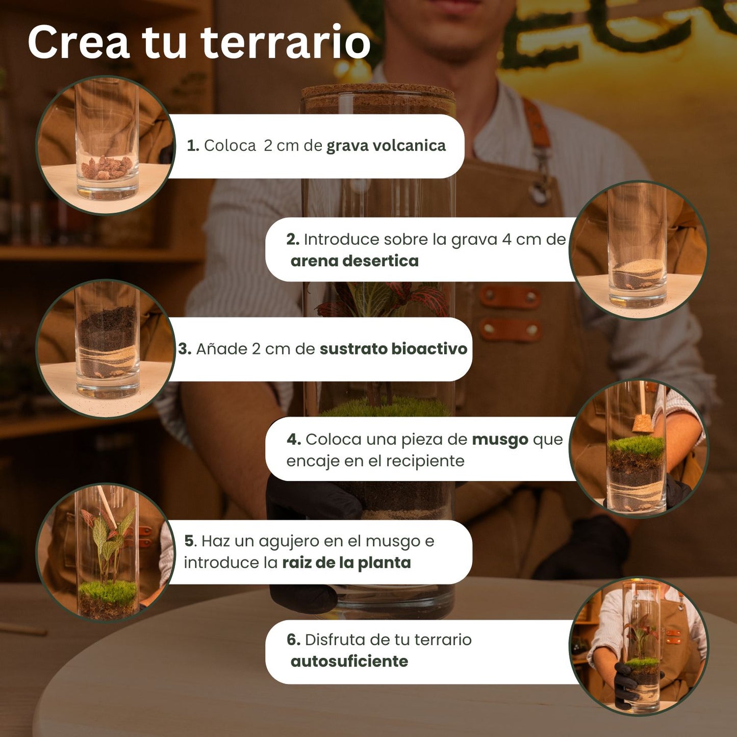 crea tu terrario