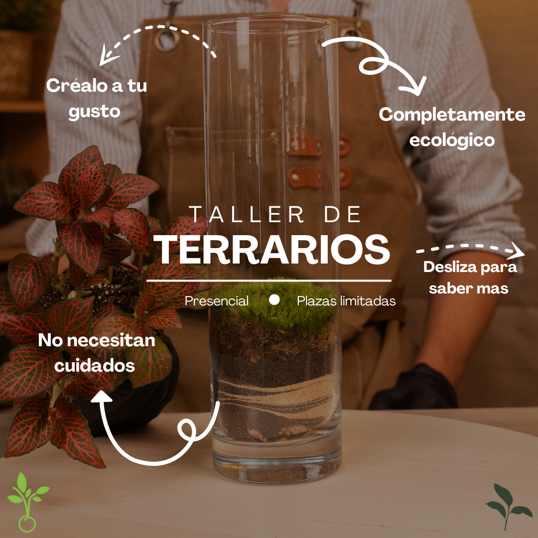 participantes creando terrarios personalizados