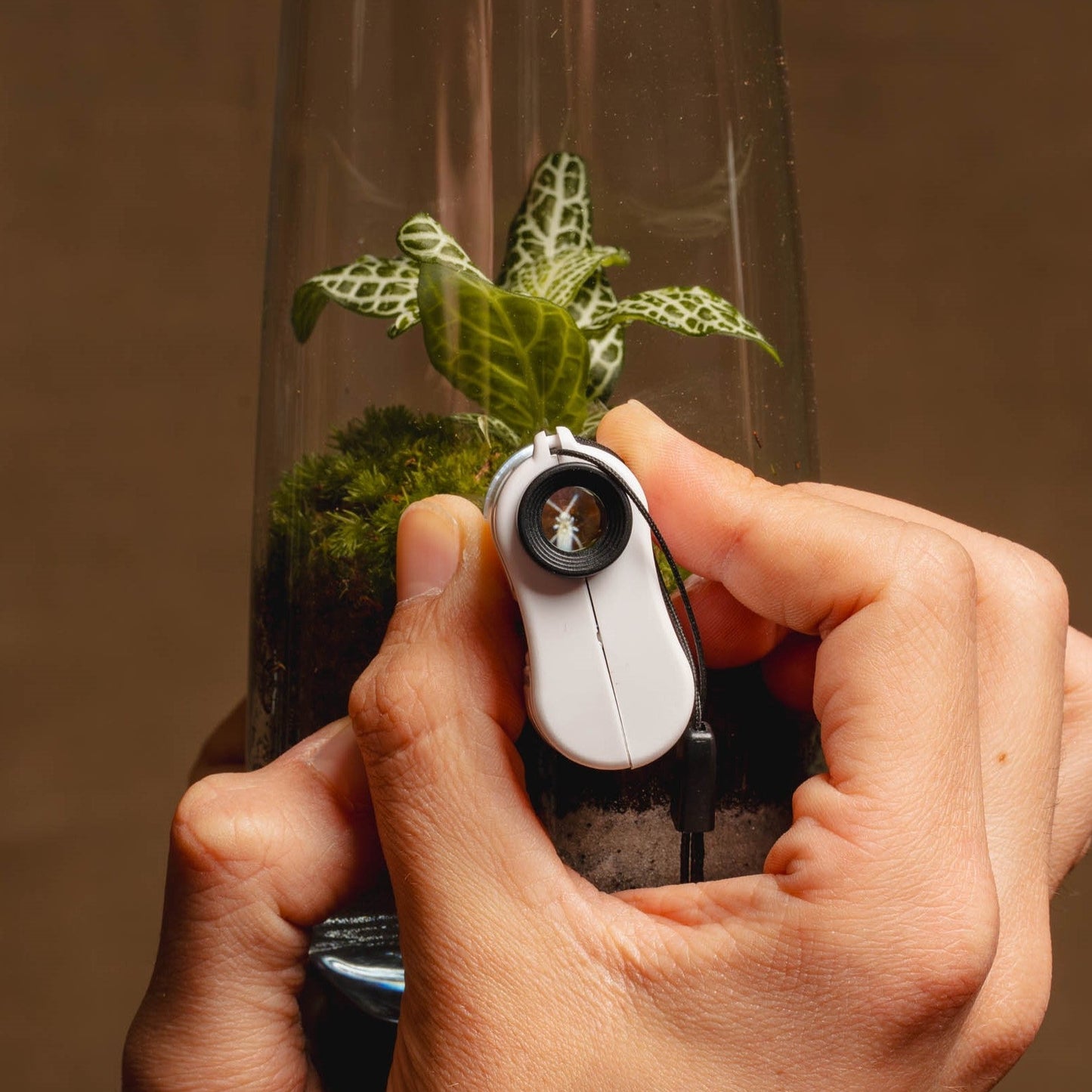 Pack EcoTerra + Microscopio