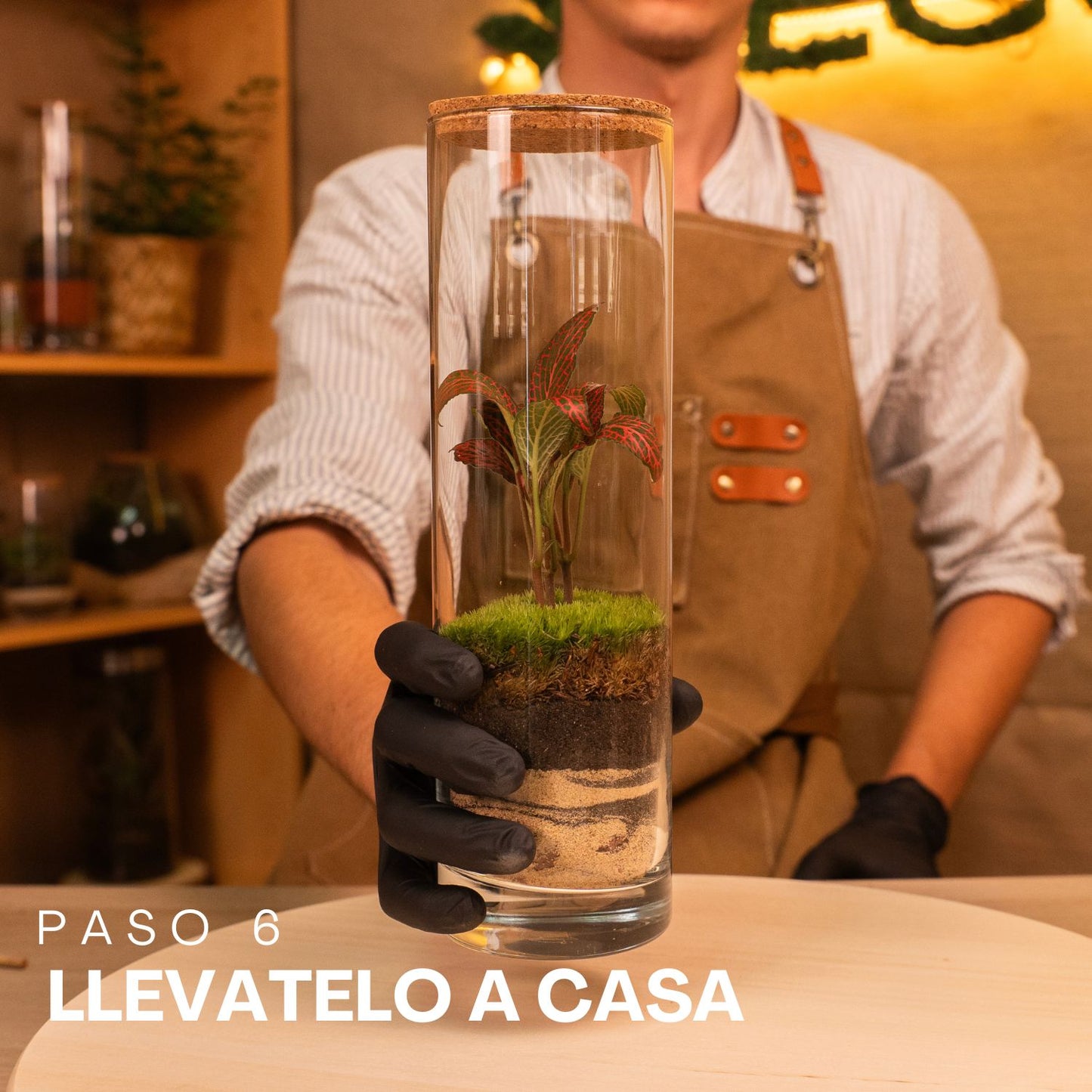 grupo de personas en taller de terrarios