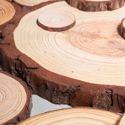 rodajas de madera decorativa