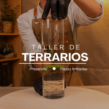 detalles de terrario terminado
