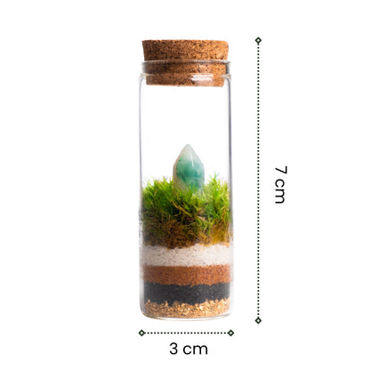 MiniTerra - Terrario