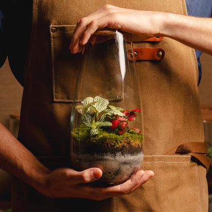 TerraNova - Terrário