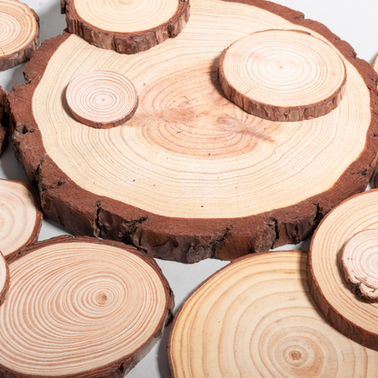 rodajas de madera para terrarios rústicos
