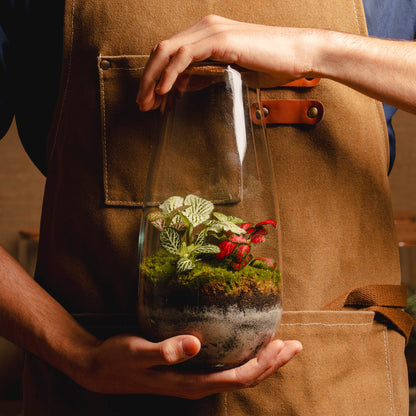 Pack TerraNova + Base Madera + MiniTerra + Pulverizador