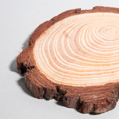 rodajas de madera natural para manualidades
