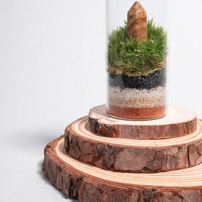rodajas de madera para centros de mesa

