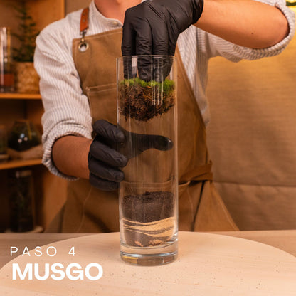 decoración de terrario con musgo
