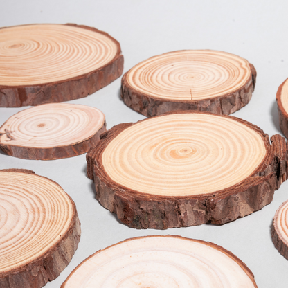 bases de madera para suculentas
