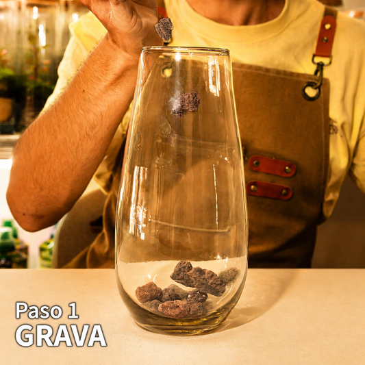 Taller de Terranova