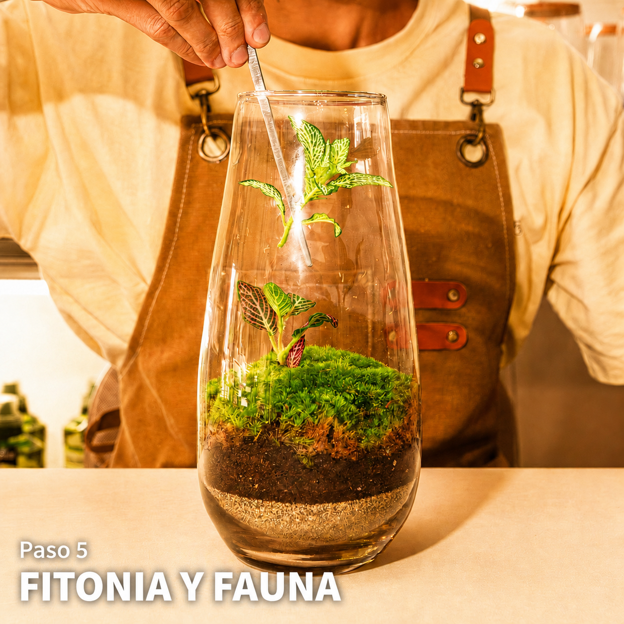 Taller de Terranova