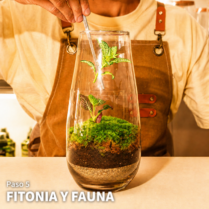Taller de Terranova