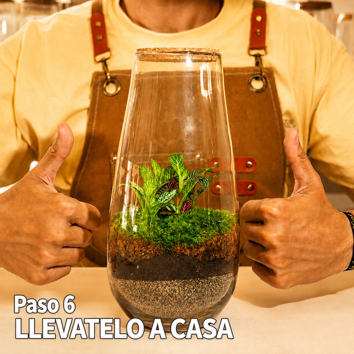 Taller de Terranova