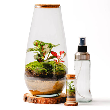 Pacote TerraNova + Base de Madeira + MiniTerra + Pulverizador