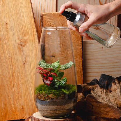 Pack TerraNova + Base Madera + MiniTerra + Pulverizador