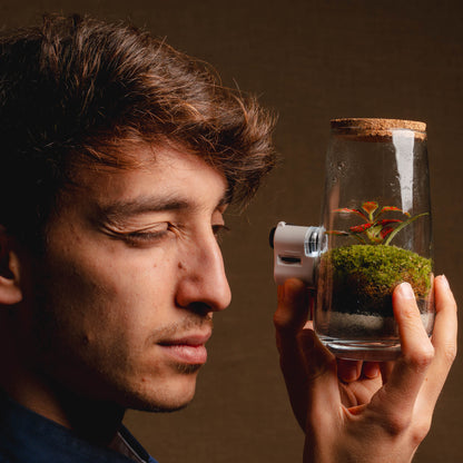 Microscópio