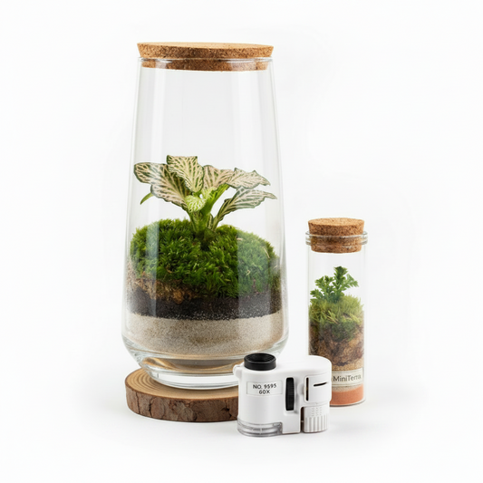 Pack Terra + Microscopio + Base de Madera + Microterrario